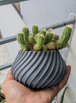 Spiral Cactus Pot 3D Printed Minimalist Design