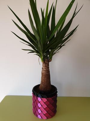 Dragon Scales Pot and Planter - Insert