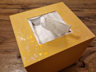 Tissues Box with 3D Effect