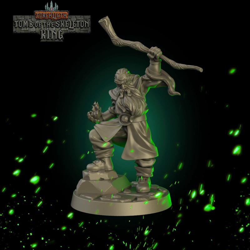 Torchlight Wizard Hero