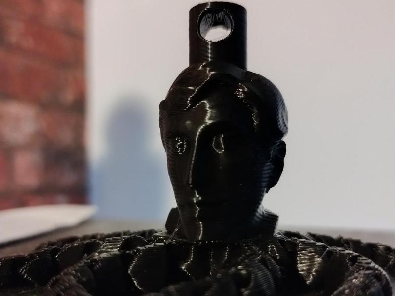 Bobby Fischer Octopus