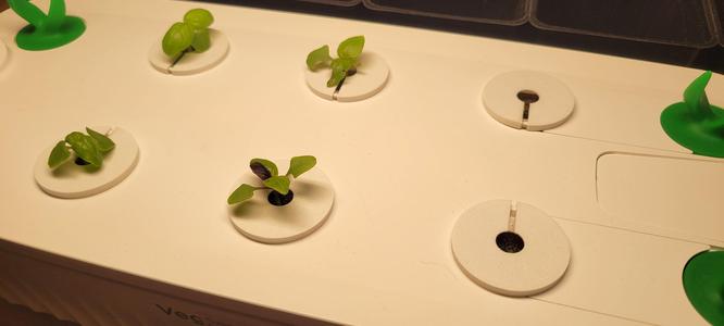 Vegehome Jardin & Jardin Pro Algae Cover