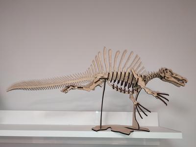 Spinosaurus skeleton 3D puzzle