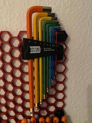Inbus holder for honeycomb storage wall system (HSW)