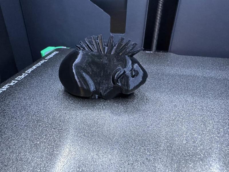 Guinea Pig (with Mohawk)