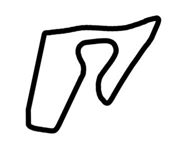 race ring