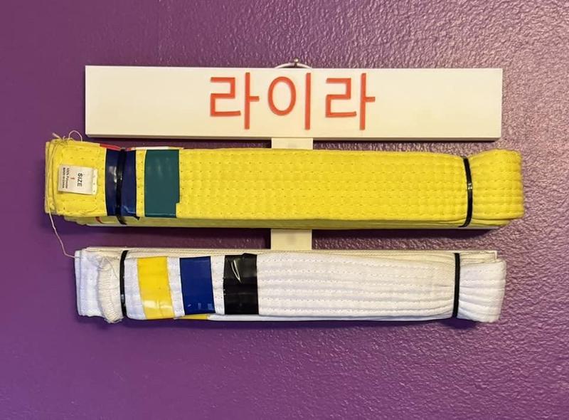 Martial Arts Modular Belt Display Hanger