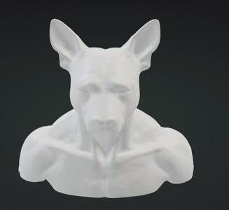 Human with dog head
