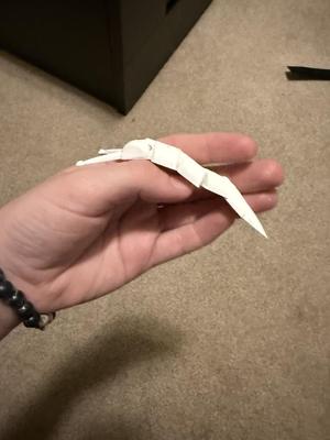 Articulated Slug Mass Print