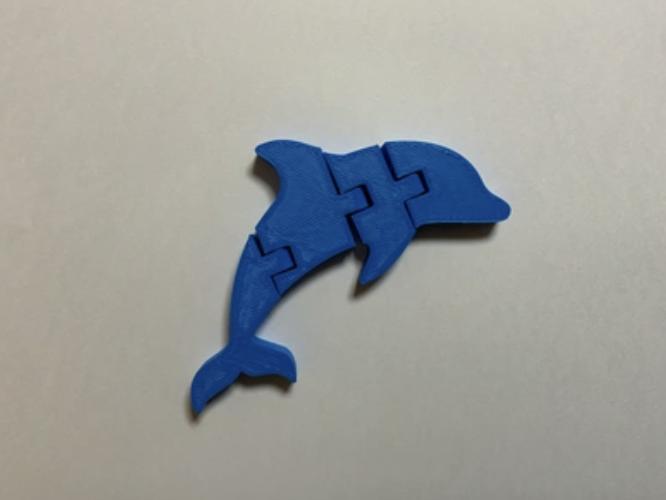 Flexi Dolphin