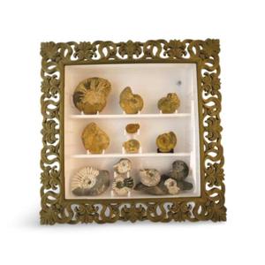 Elegant and Adjustable Baroque Display Cabinet