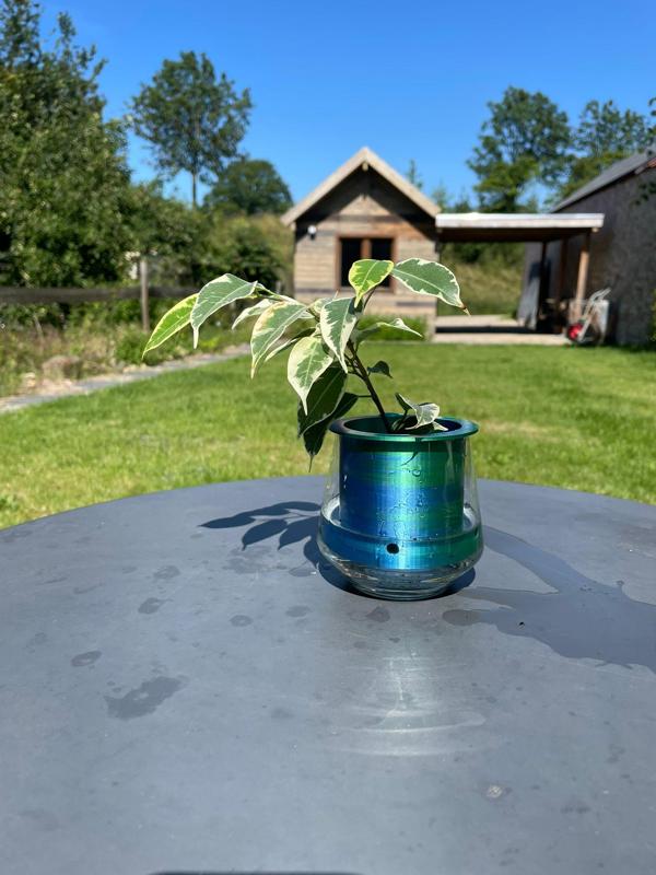 Self watering planter