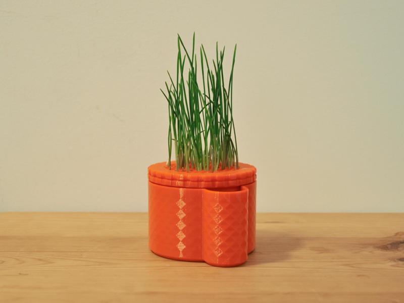 Cat Grass Cup