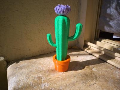 Colorful Cactus w/ Flower