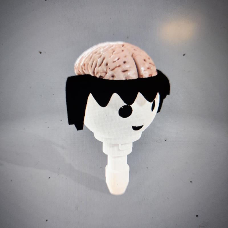 Brain head compatible with playmobil