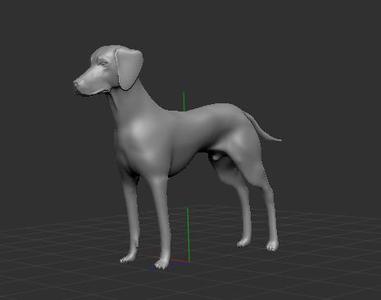 WEIMARANER OR WEIMARANER