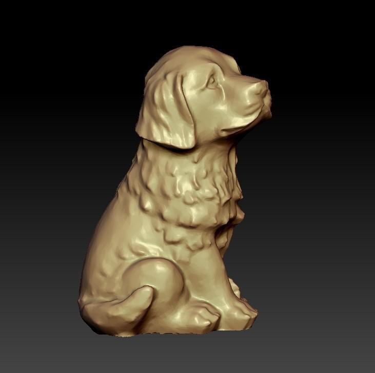 puppy