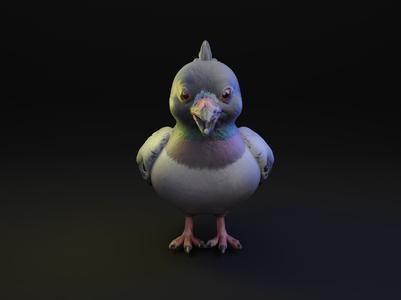 Pigeon Cartoon Animal