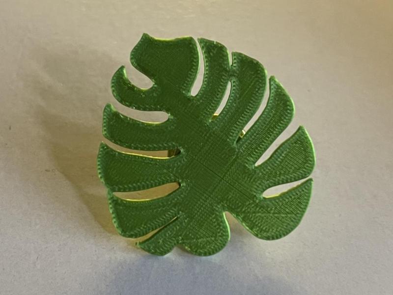 Flat Monstera Leaf