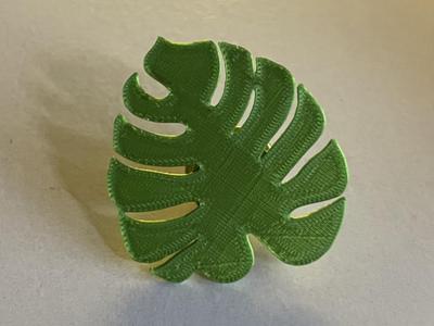 Flat Monstera Leaf