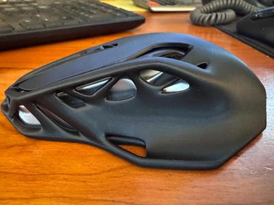 Mouse 002 Visible Inner Shell