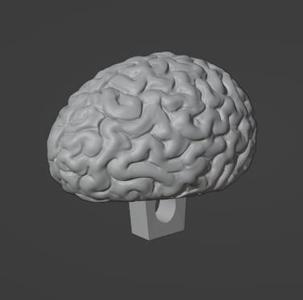 Brain Button
