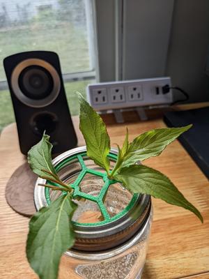 Plant Cutting Holder (Double)