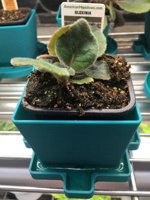 Plant Pot 2"X2" Rectangular Base