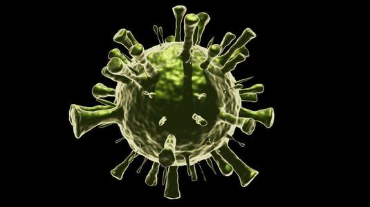Corona Virus
