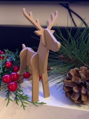 Reindeer