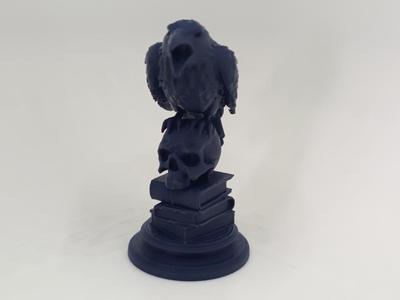 Raven on Books and Skull