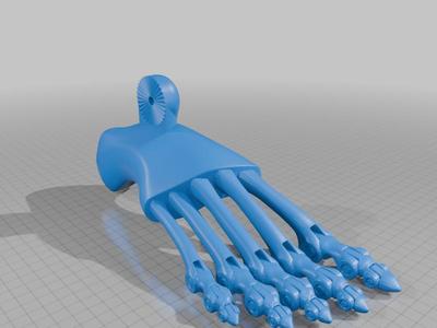 Biomimetic Foot