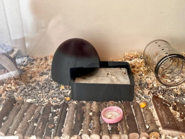 Hamster bath and home