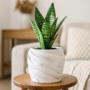 Modern Plant Pot with Drainage