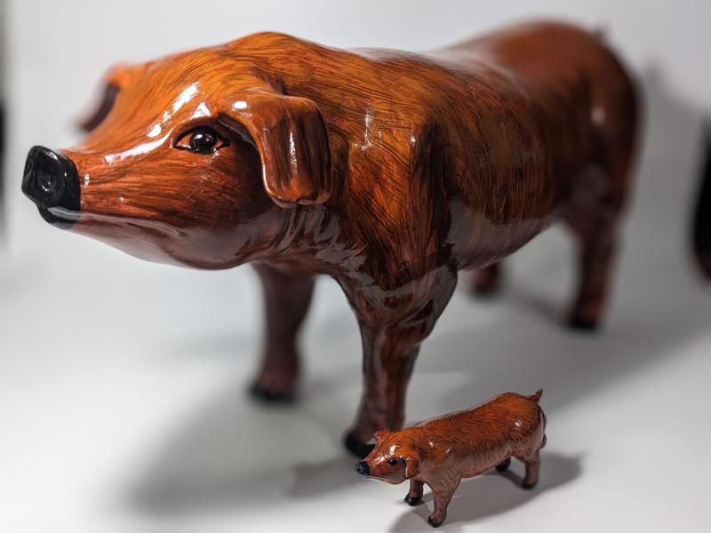 Stallion pig / stallion pig