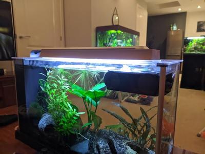 Fluval Spec V 19L - Jump Guard / Light Guard