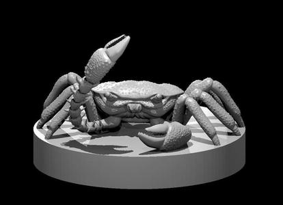 Garroter Crab