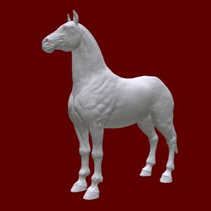 Horse - High Quality