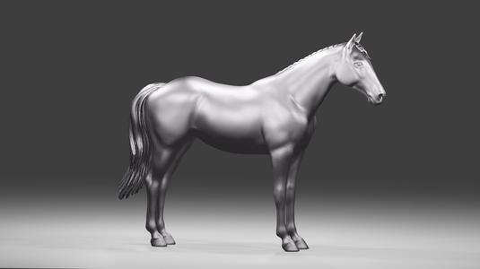 Mustang Horse