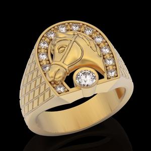 Horse ring