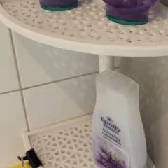 Corner shelf with sliding accessories