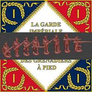 28mm Napoleonic French Line Infantry Elites campaign dress shako cover skirmishing 1808-12