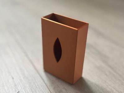 Cigarette case protector