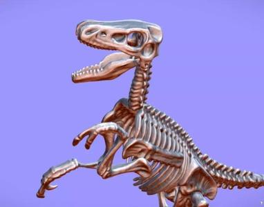 Raptor Skeleton Souvenier TOY - 3D SCAN