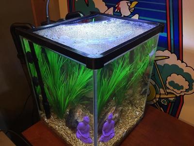 Aquarium Lid For Fluval Chi