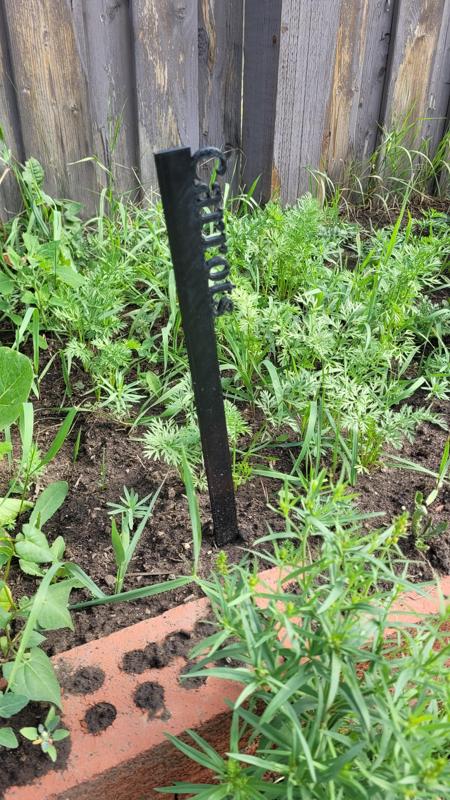 Garden Marking Stakes