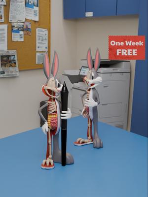 Anatomical Wabbit Pen Holder