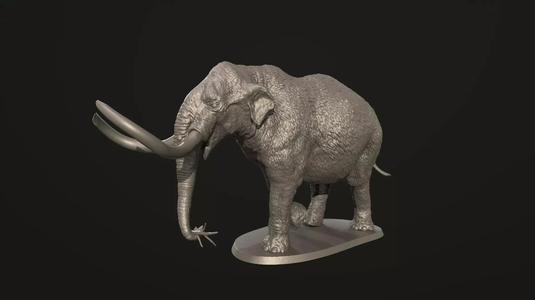 Mammut americanum