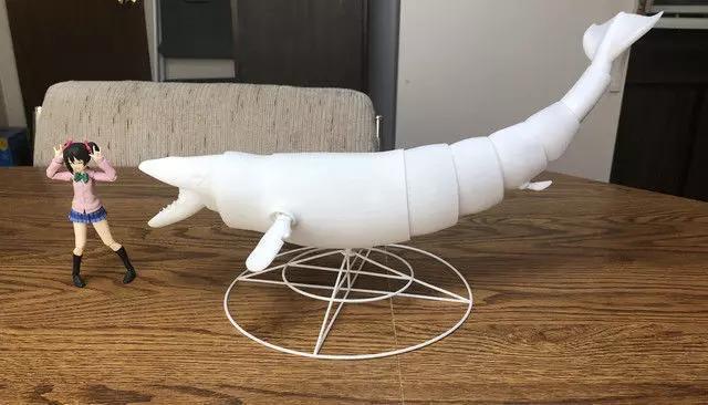 Dorudon Articulated Figure