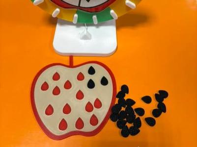 apple with seeds